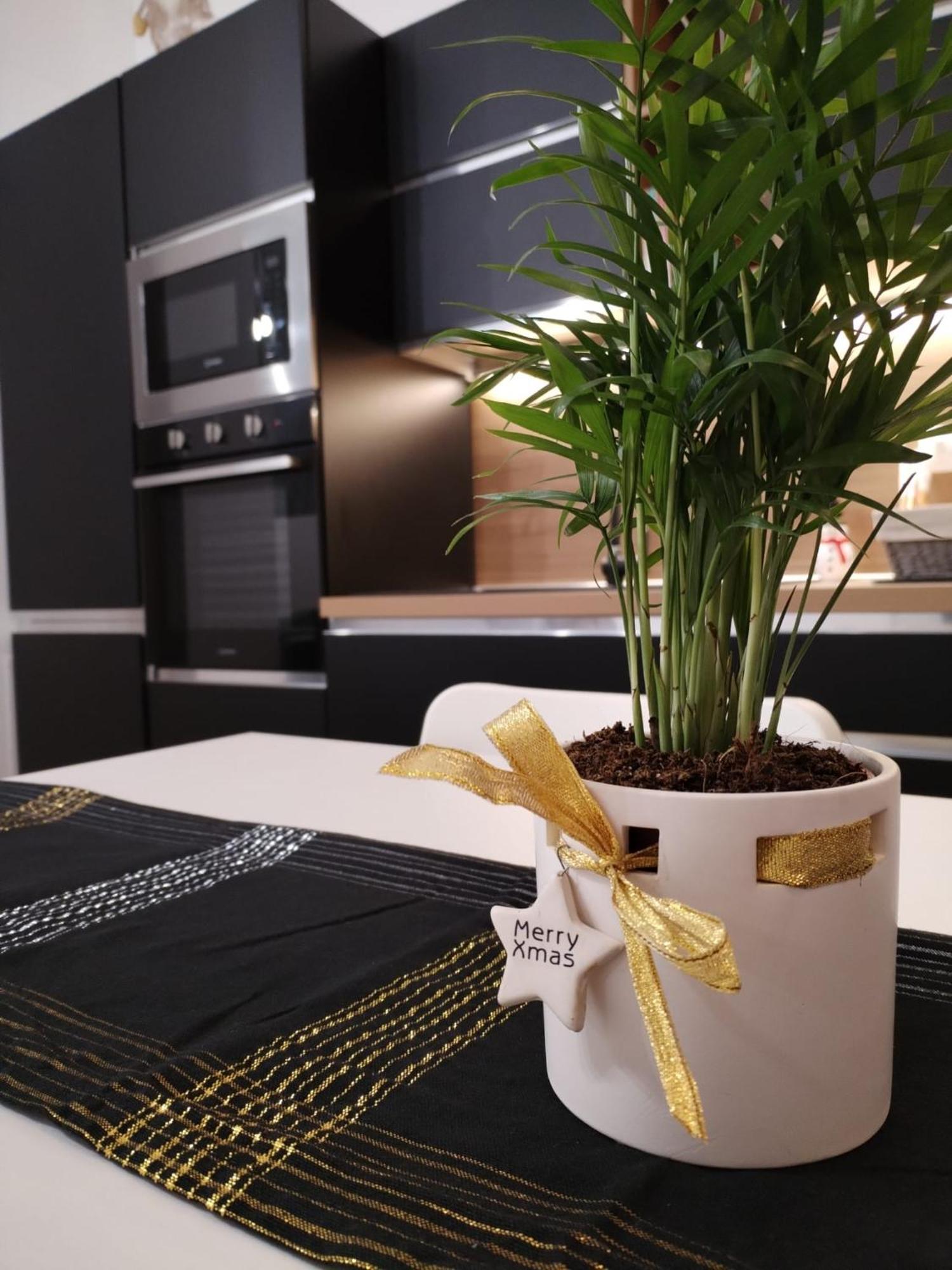 Central Loft Carina Ideale Per Visitare Il Centro Di Torino Екстер'єр фото